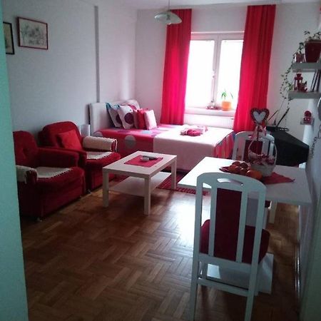 Apartman Mira Požarevac エクステリア 写真