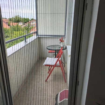 Apartman Mira Požarevac エクステリア 写真