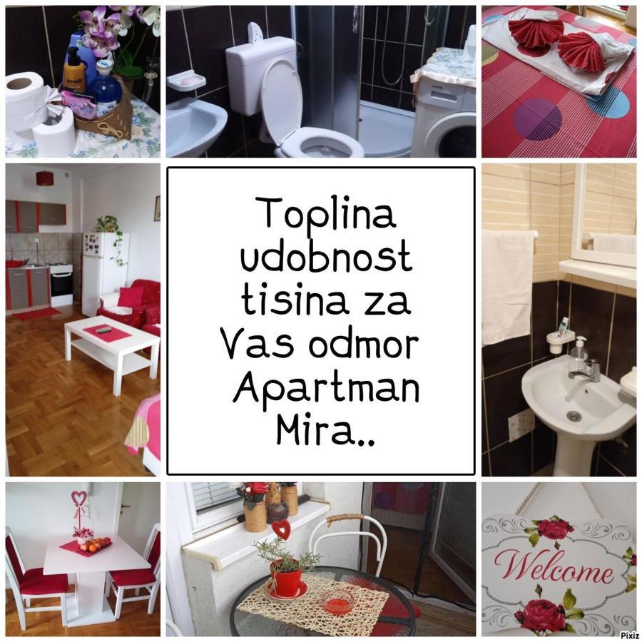 Apartman Mira Požarevac エクステリア 写真