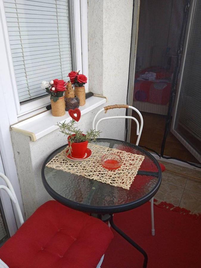 Apartman Mira Požarevac エクステリア 写真