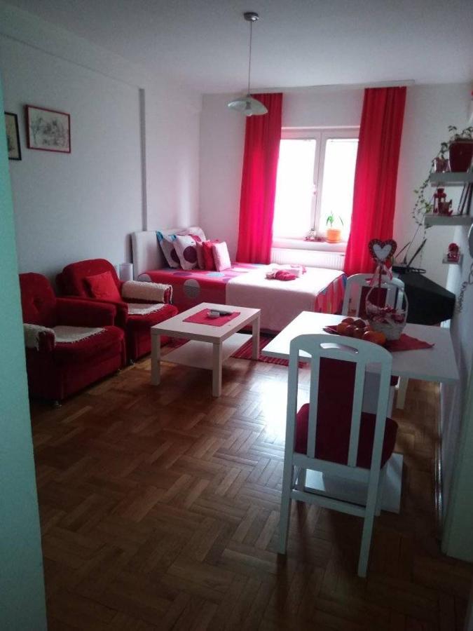 Apartman Mira Požarevac エクステリア 写真