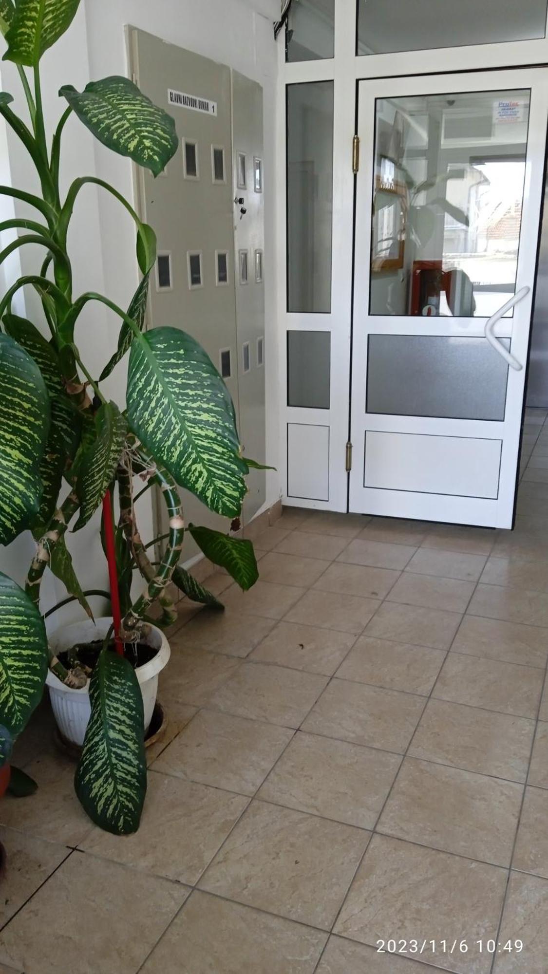 Apartman Mira Požarevac エクステリア 写真