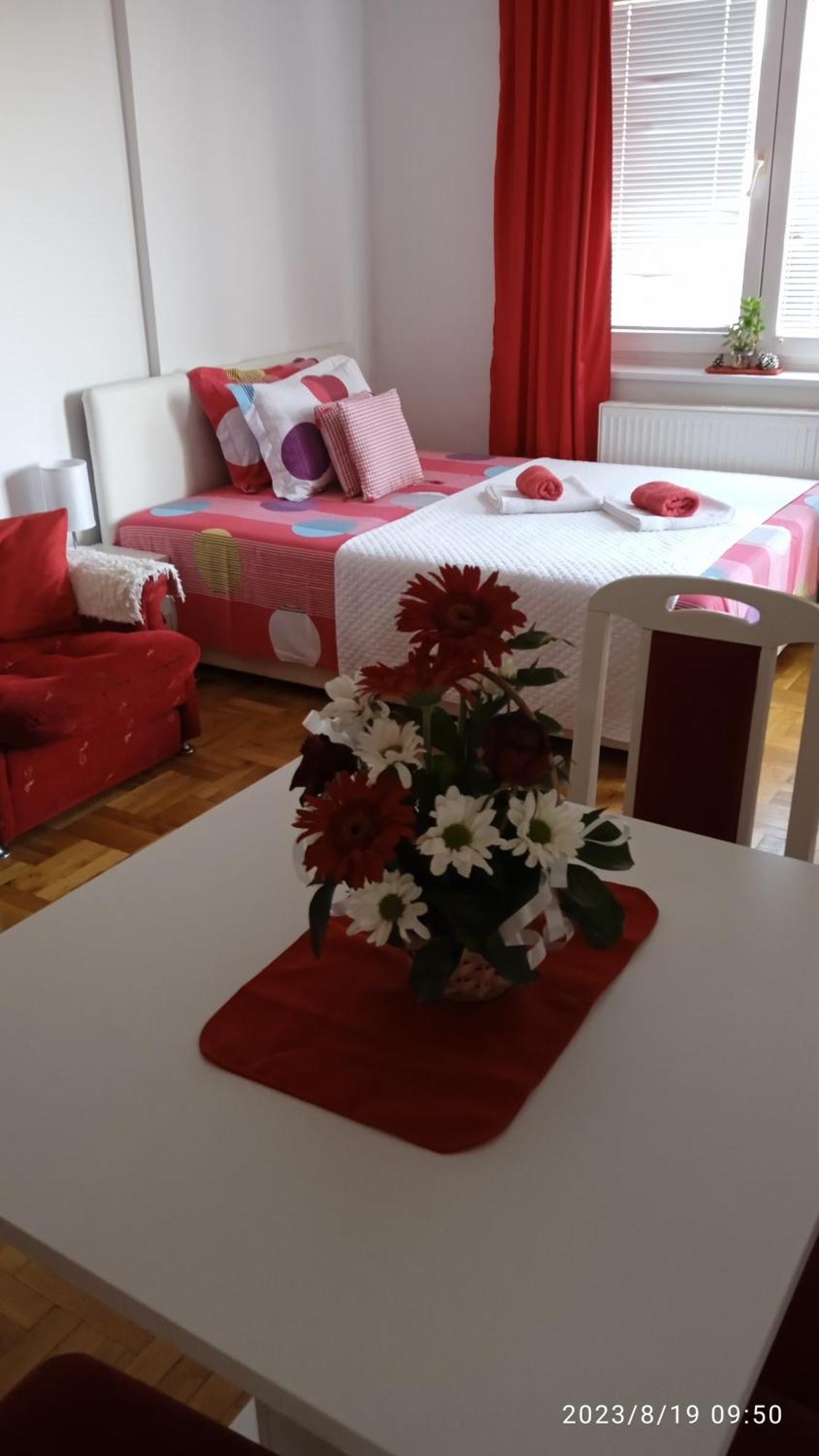 Apartman Mira Požarevac エクステリア 写真