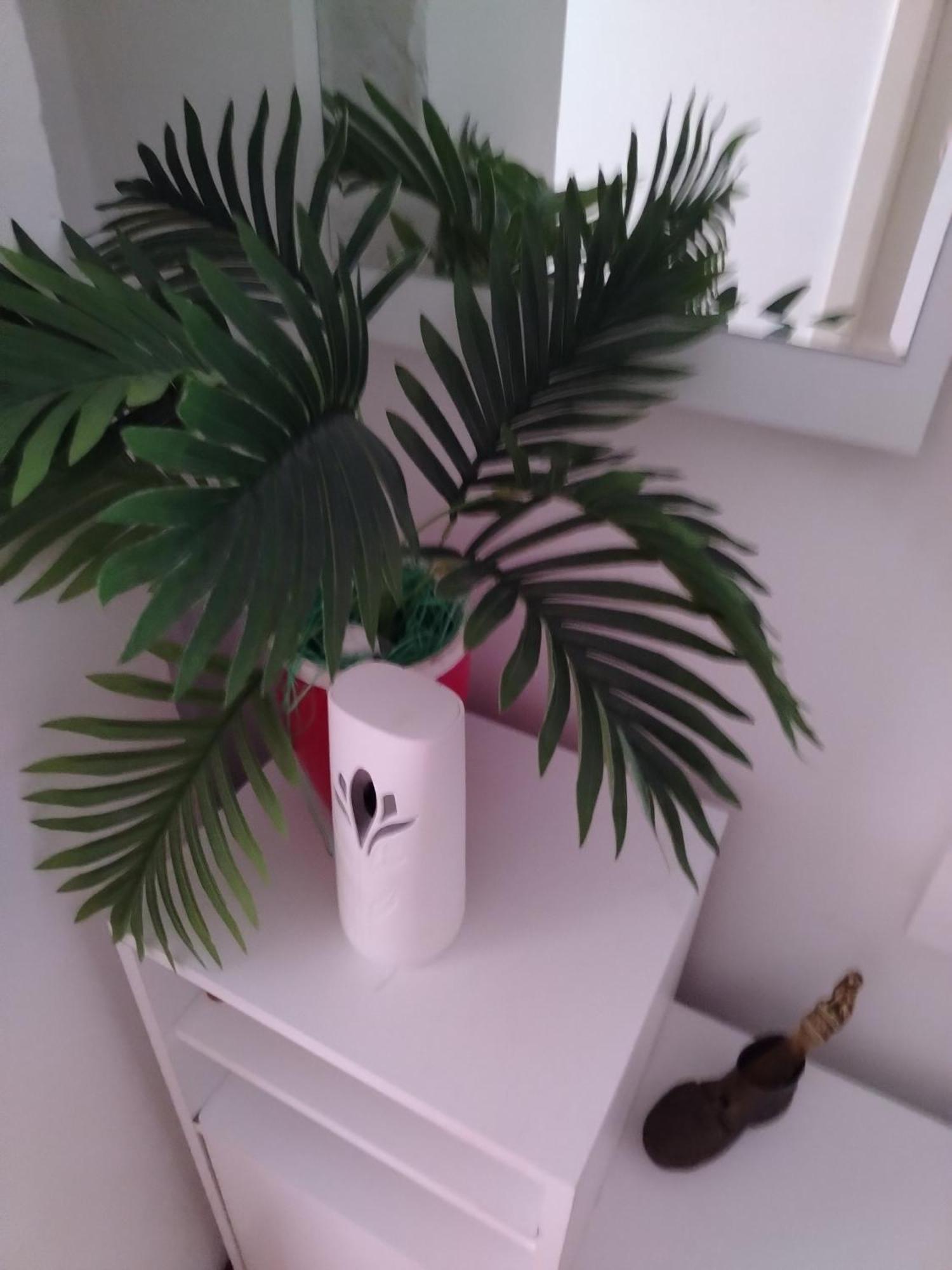 Apartman Mira Požarevac エクステリア 写真